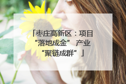 枣庄高新区：项目“落地成金” 产业“聚链成群”