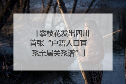 攀枝花发出四川首张“户籍人口直系亲属关系谱”