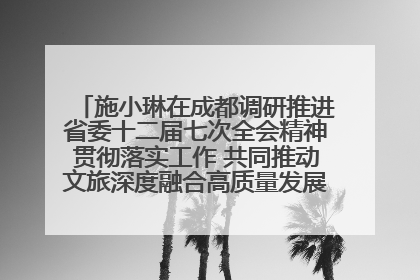 施小琳在成都调研推进省委十二届七次全会精神贯彻落实工作 共同推动文旅深度融合高质量发展 加快打造支柱产业民生产业幸福产业