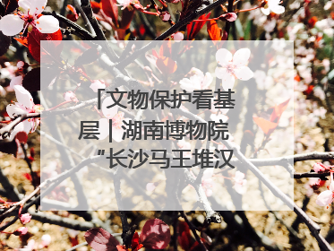 文物保护看基层｜湖南博物院“长沙马王堆汉墓陈列”展