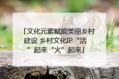 文化元素赋能美丽乡村建设 乡村文化IP“活”起来“火”起来