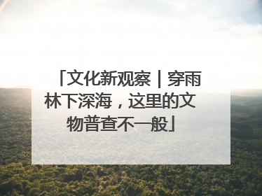 文化新观察｜穿雨林下深海，这里的文物普查不一般