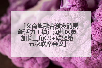 文商旅融合激发消费新活力！镇江润州区参加长三角C9+联盟第五次联席会议