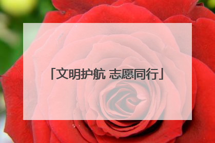 文明护航 志愿同行