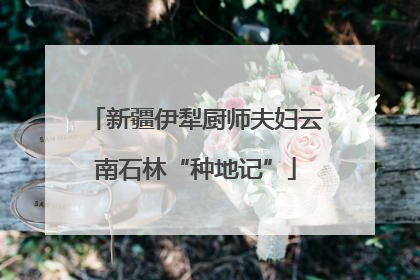 新疆伊犁厨师夫妇云南石林“种地记”