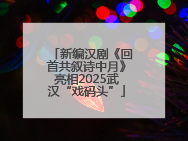 新编汉剧《回首共叙诗中月》亮相2025武汉“戏码头”