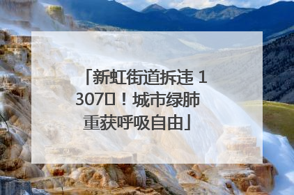 新虹街道拆违 1307㎡！城市绿肺重获呼吸自由