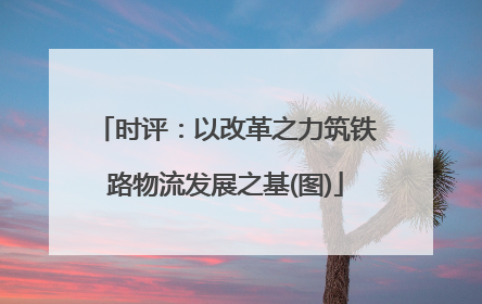 时评：以改革之力筑铁路物流发展之基(图)