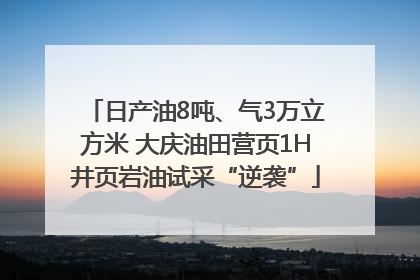 日产油8吨、气3万立方米 大庆油田营页1H井页岩油试采“逆袭”