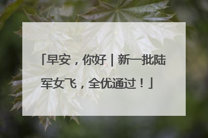 早安，你好｜新一批陆军女飞，全优通过！