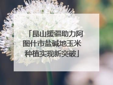 昆山援疆助力阿图什市盐碱地玉米种植实现新突破