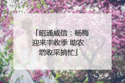 昭通威信：杨梅迎来丰收季 助农增收采摘忙