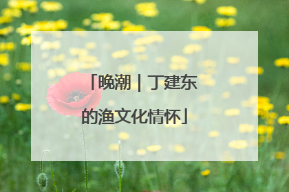 晚潮｜丁建东的渔文化情怀