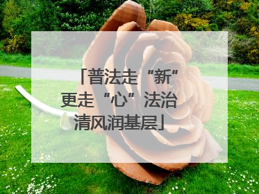 普法走“新”更走“心”法治清风润基层