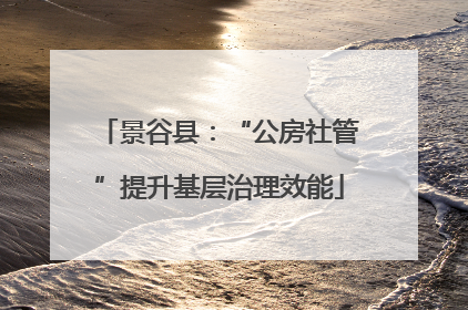 景谷县：“公房社管”提升基层治理效能