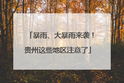 暴雨、大暴雨来袭！贵州这些地区注意了