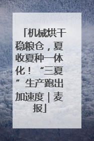 机械烘干稳粮仓，夏收夏种一体化！“三夏”生产跑出加速度｜麦报