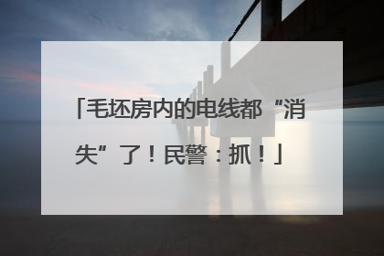 毛坯房内的电线都“消失”了！民警：抓！