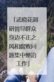 武晓花调研督导群众身边不正之风和腐败问题集中整治工作