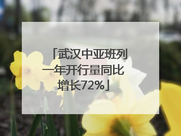 武汉中亚班列一年开行量同比增长72%