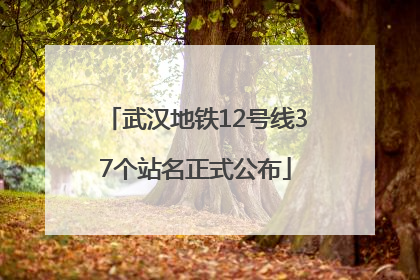 武汉地铁12号线37个站名正式公布