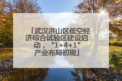 武汉洪山区低空经济综合试验区建设启动，“1+4+1”产业布局初现