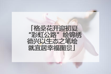 格桑花开迎初夏 “彩虹公路”绘锦绣 德兴以生态之笔绘就宜居幸福图景
