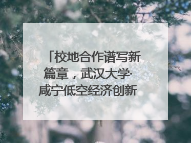 校地合作谱写新篇章，武汉大学·咸宁低空经济创新研究院签约成立