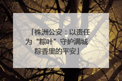 株洲公安：以责任为“粽叶”守护满城粽香里的平安