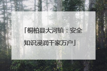 桐柏县大河镇：安全知识浸润千家万户