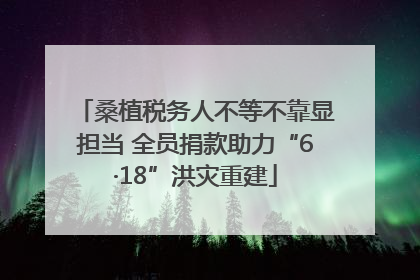 桑植税务人不等不靠显担当 全员捐款助力“6·18”洪灾重建