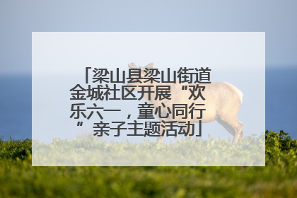 梁山县梁山街道金城社区开展“欢乐六一，童心同行”亲子主题活动