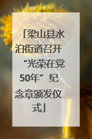 梁山县水泊街道召开“光荣在党50年”纪念章颁发仪式