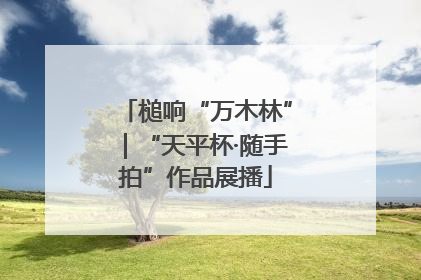 槌响“万木林”｜“天平杯·随手拍”作品展播