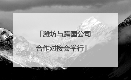 潍坊与跨国公司合作对接会举行