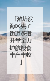 潍坊滨海区央子街道多措并举全力护航粮食丰产丰收