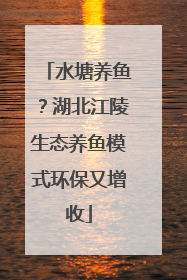 水塘养鱼?湖北江陵生态养鱼模式环保又增收