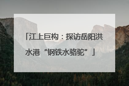 江上巨构：探访岳阳洪水港“钢铁水骆驼”