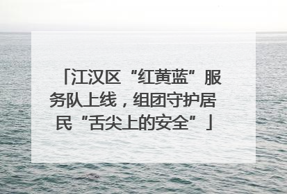 江汉区“红黄蓝”服务队上线，组团守护居民“舌尖上的安全”