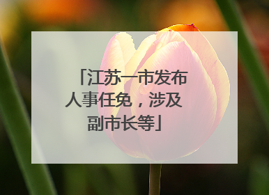 江苏一市发布人事任免，涉及副市长等