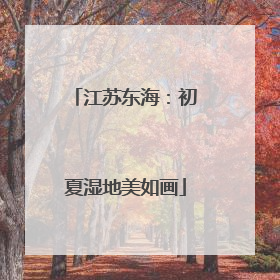 江苏东海：初夏湿地美如画