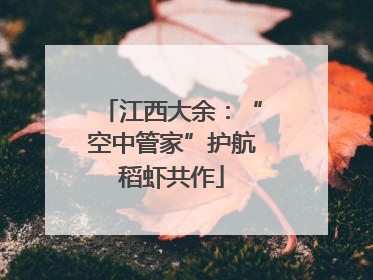 江西大余：“空中管家”护航稻虾共作