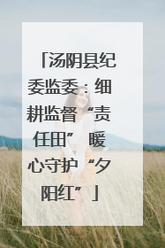 汤阴县纪委监委：细耕监督“责任田” 暖心守护“夕阳红”