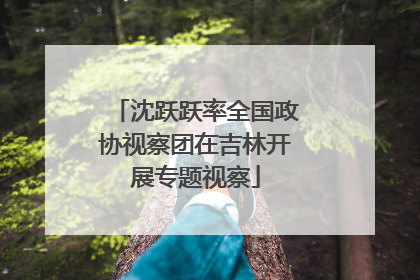 沈跃跃率全国政协视察团在吉林开展专题视察