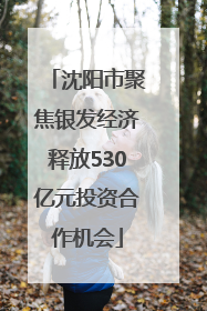 沈阳市聚焦银发经济释放530亿元投资合作机会
