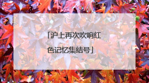 沪上再次吹响红色记忆集结号