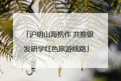 沪明山海携作 共推银发研学红色旅游线路