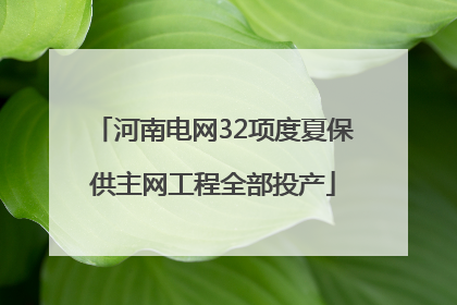河南电网32项度夏保供主网工程全部投产