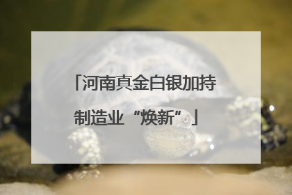 河南真金白银加持制造业“焕新”