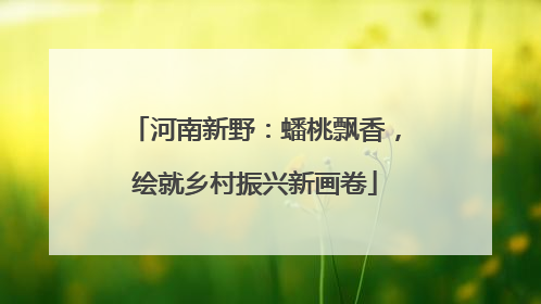 河南新野：蟠桃飘香，绘就乡村振兴新画卷